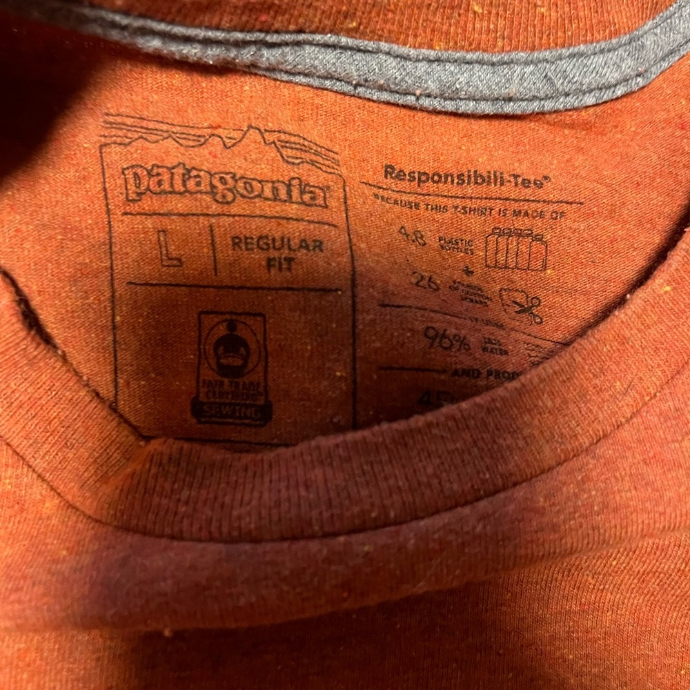 Patagonia Rust T-Shirt - Picture 3 of 4